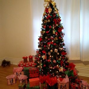 Meet your Posher, Liza